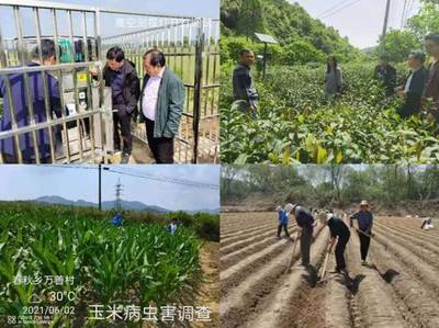 縣農技推廣中心“我為群眾辦實事”實踐活動有聲有色