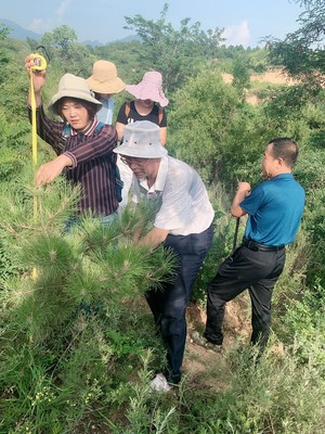 山西省種苗總站赴晉中市進(jìn)行種苗質(zhì)量抽查和生產(chǎn)經(jīng)營(yíng)許可事項(xiàng)“雙隨機(jī)”執(zhí)法檢查工作