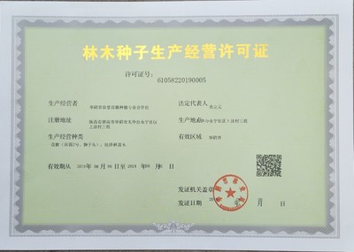 [花椒種子批發(fā)]優(yōu)選獅子頭花椒種子,出芽率高,產(chǎn)量好,包郵包技術(shù)。價(jià)格3元/斤