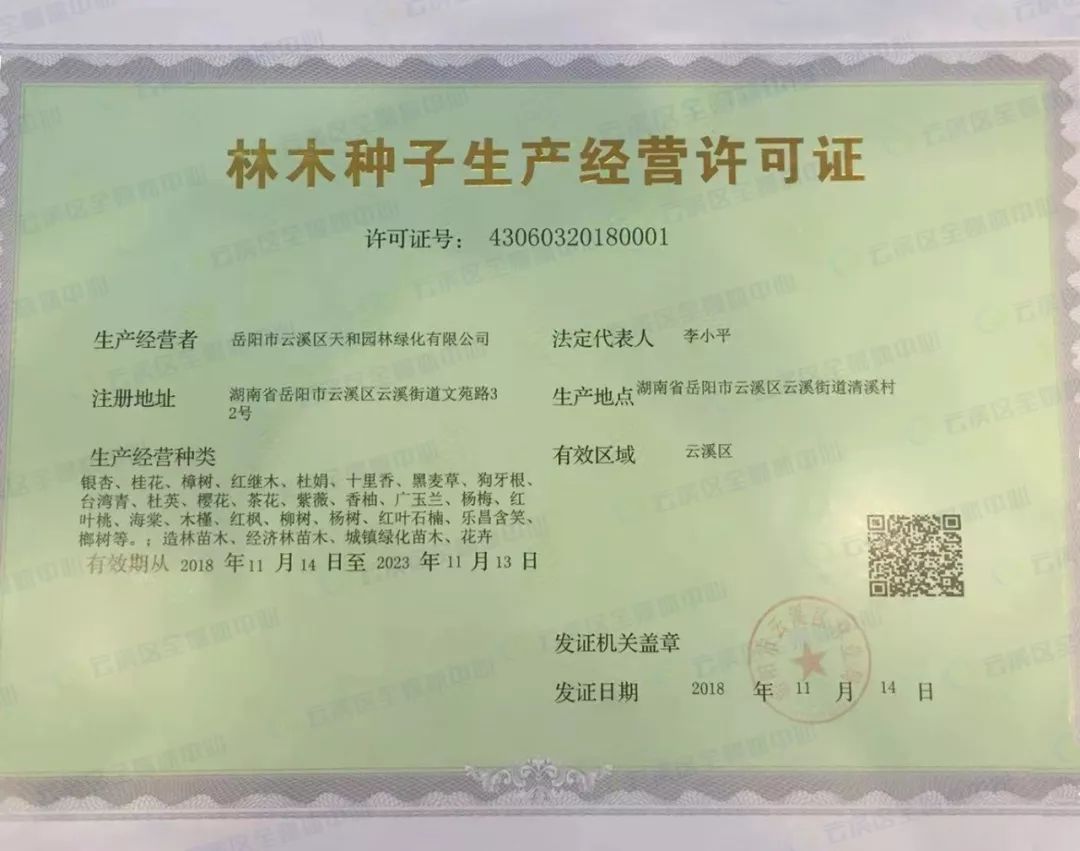 快來看看新鮮出爐啦云溪區第一本林木種子生產經營許可證