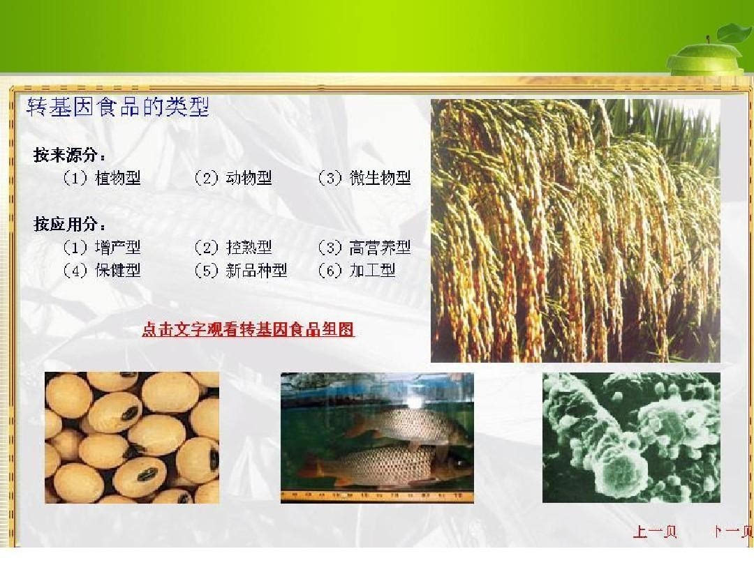 農業部今天發布轉基因作物監管辦法,嚴防轉基因種子冒充非轉基因生產經營