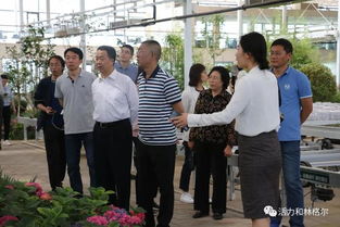 自治區(qū)人大常委會調(diào)研組來我縣調(diào)研