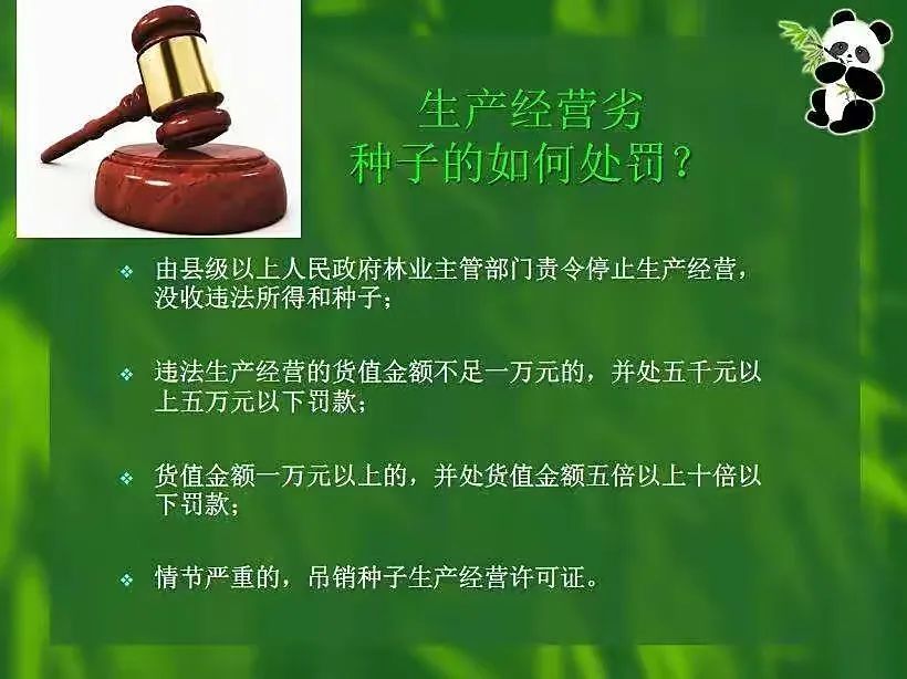 《大家說法》(161)關注《種子法》