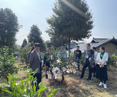 市級聯合檢查組到名山區開展“雙隨機、一公開”監督檢查