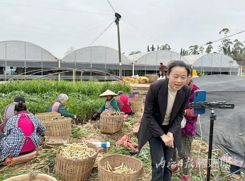 土里燒鍋爐 內(nèi)江這大姐出了名