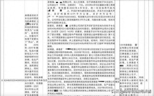 環(huán)保督察督辦重點(diǎn)破壞生態(tài)礦山,為何時(shí)隔一年多仍然無(wú)法關(guān)閉