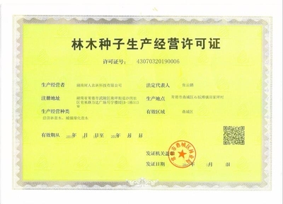 [柑樹苗批發]柑樹苗 晚熟雜柑新品種綠美人媛小春柑橘苗價格15元/株
