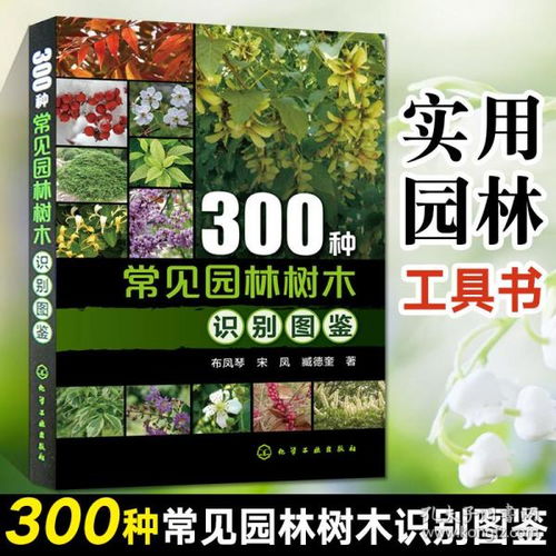 工程技術 百匯書城的書店 孔夫子舊書網
