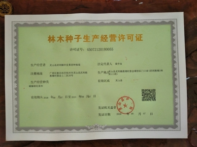 [紅心芭樂番石榴苗批發]紅心芭樂番石榴苗 價格25元/棵