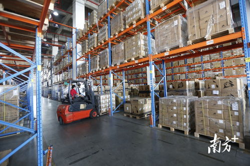 超九成供應鏈企業如常運轉,直擊前海恢復正常生產經營首日