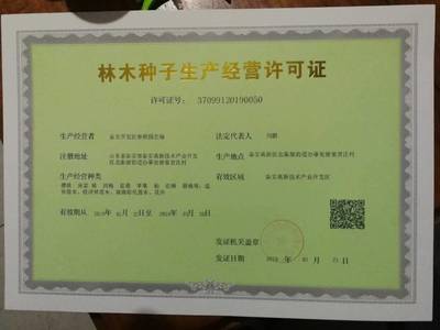 產(chǎn)地直銷葡萄苗 當(dāng)年葡萄苗 口感好 甜度高 陽光玫瑰葡萄苗