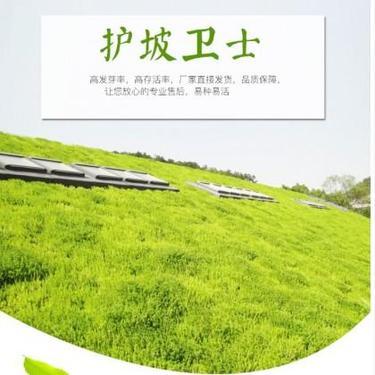 苗木生產(chǎn)許可證 林木種子生產(chǎn)經(jīng)營許可證