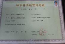 經(jīng)營許可證-普寧市廣太美嘉綠花木場 公司證件(普寧秋楓供應(yīng)、普寧桃花心木價格、普寧黃槐批發(fā))|金泉網(wǎng)