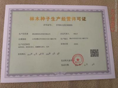 無刺花椒苗產(chǎn)量,花椒育苗基地,適合山地種植的花椒樹