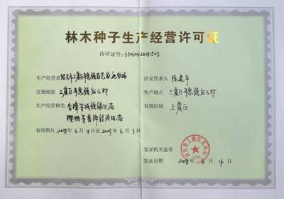 嵊州金庭桃形李苗培育基地桃形李樹苗價(jià)格