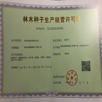 礦山復(fù)綠草綠化光葉紫花苕種毛苕子草籽綠肥種籽果園野豌豆草種子