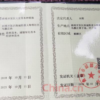 林木種子生產(chǎn)經(jīng)營許可證