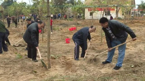 電白區委書記陳小鋒帶隊到虎頭山植樹,種下600多株樹木
