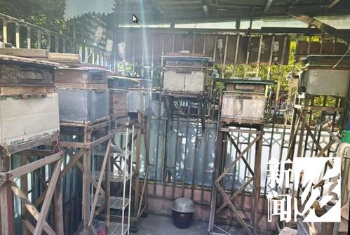 無標題